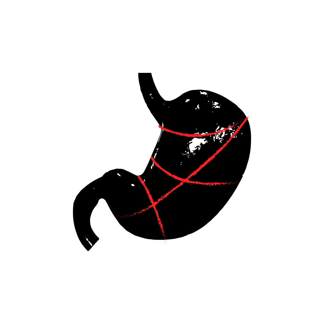 FotoVideo